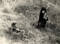 vigilando_reprimere.jpg